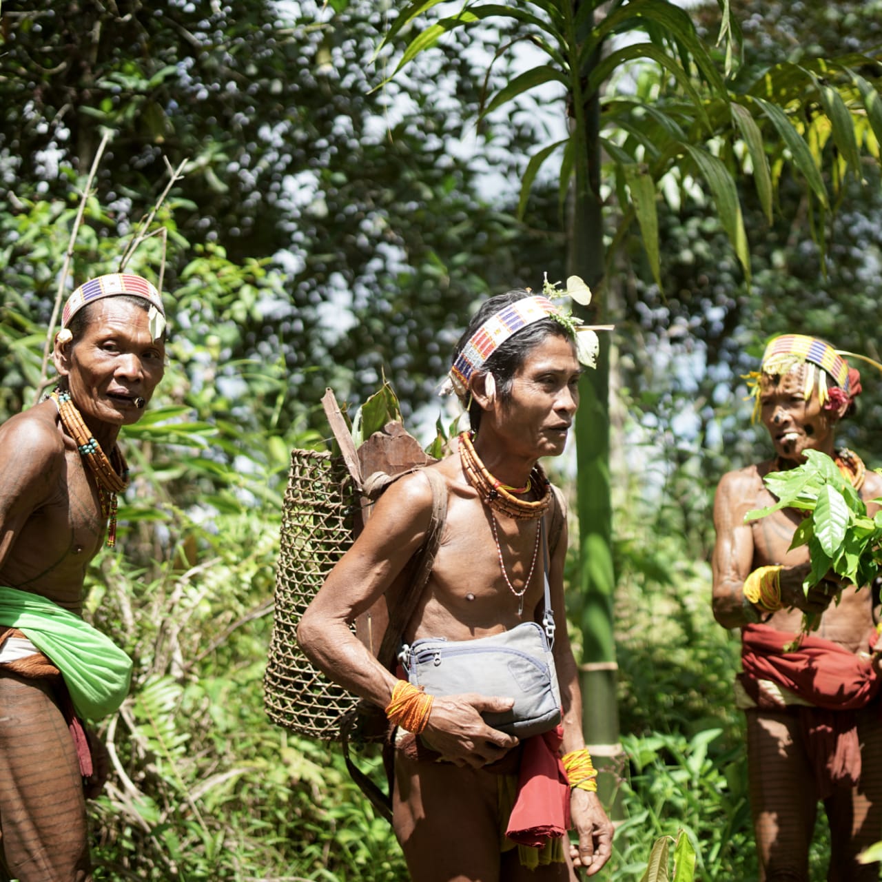 Mentawai Island Escape